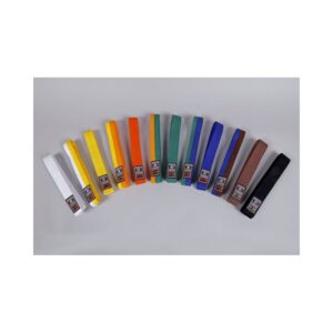 JUDO A KARATE OPASOK – ŽIACKE STUPNE – RAD: NORIS